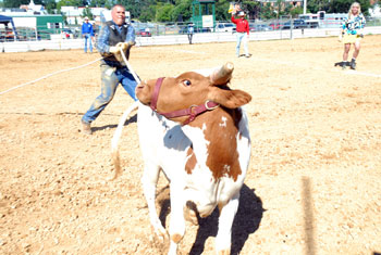 #77 of 89 : 2008-09-18_1068_34285.jpg