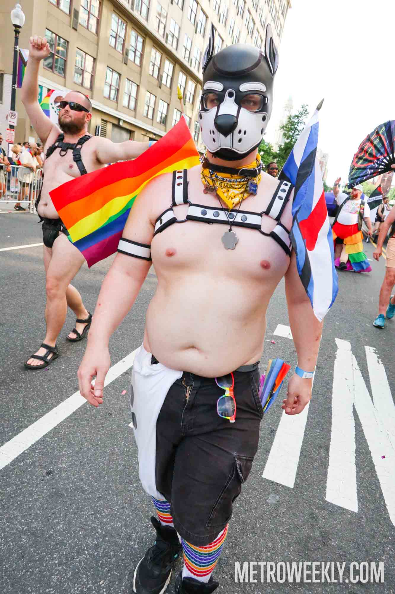 #134 of 216 : 2025-06-13_3002_177457.jpg