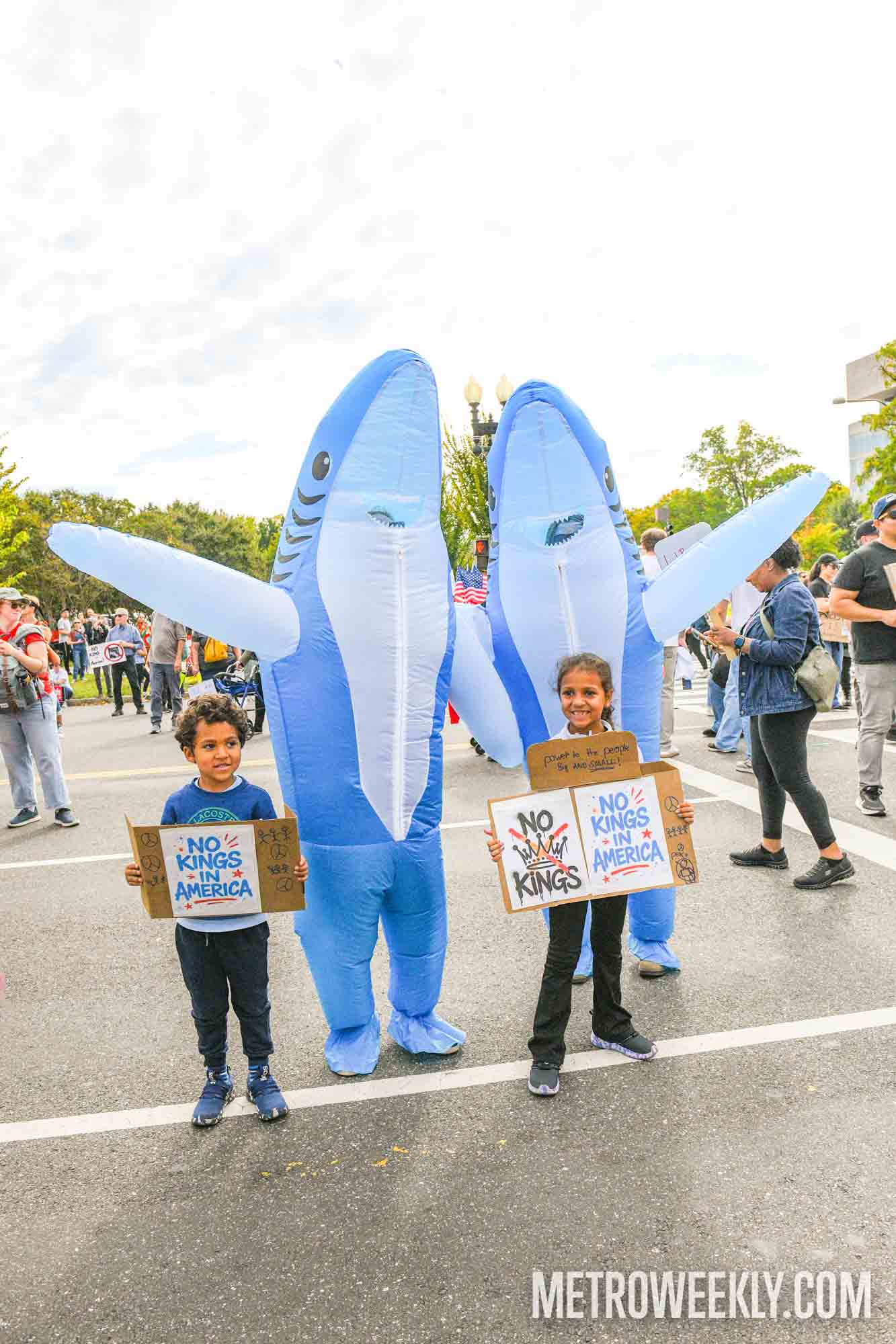 #130 of 147 : 2025-10-23_3013_178483.jpg