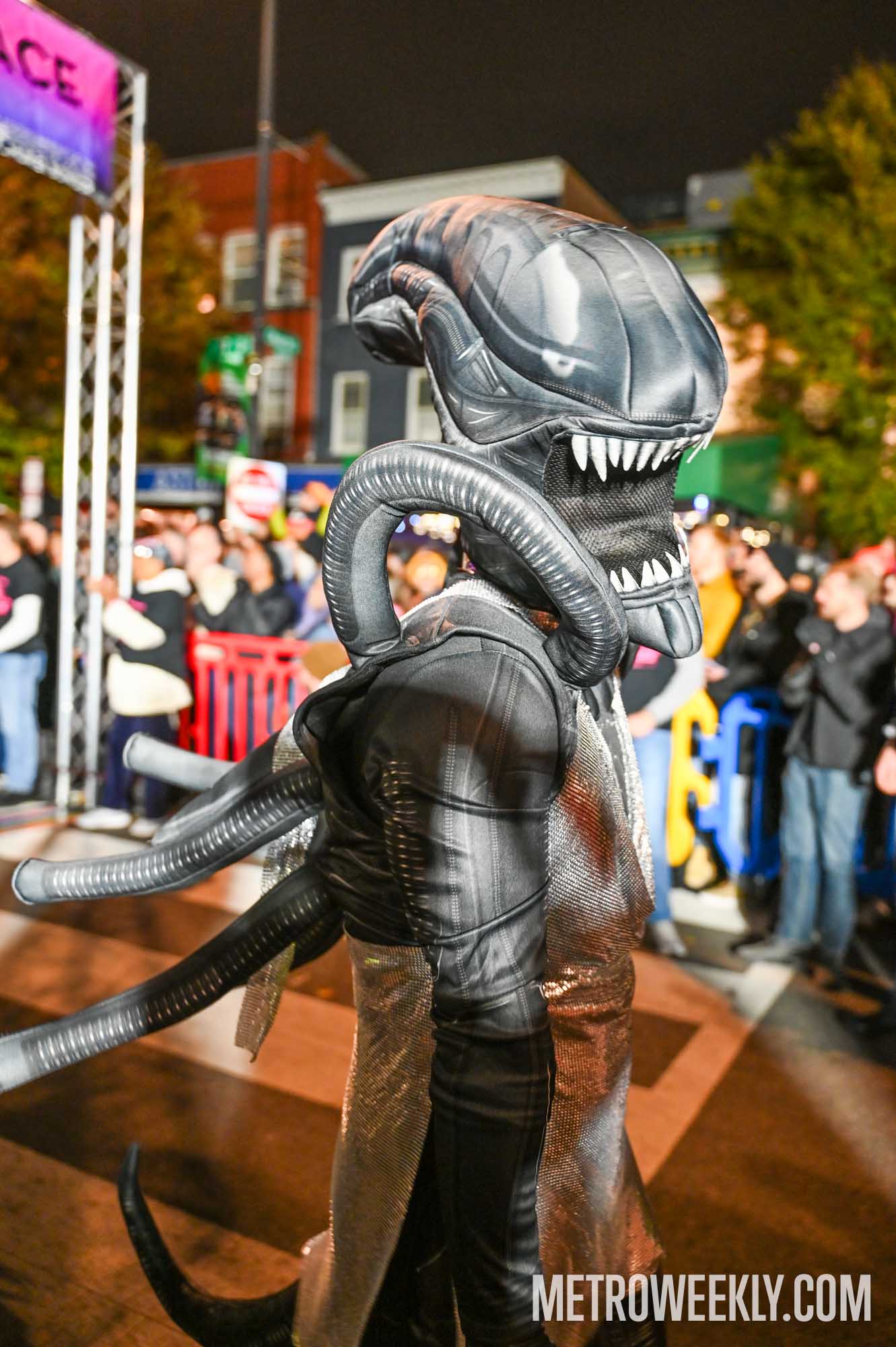 #41 of 46 : 2025-10-31_3015_178614.jpg