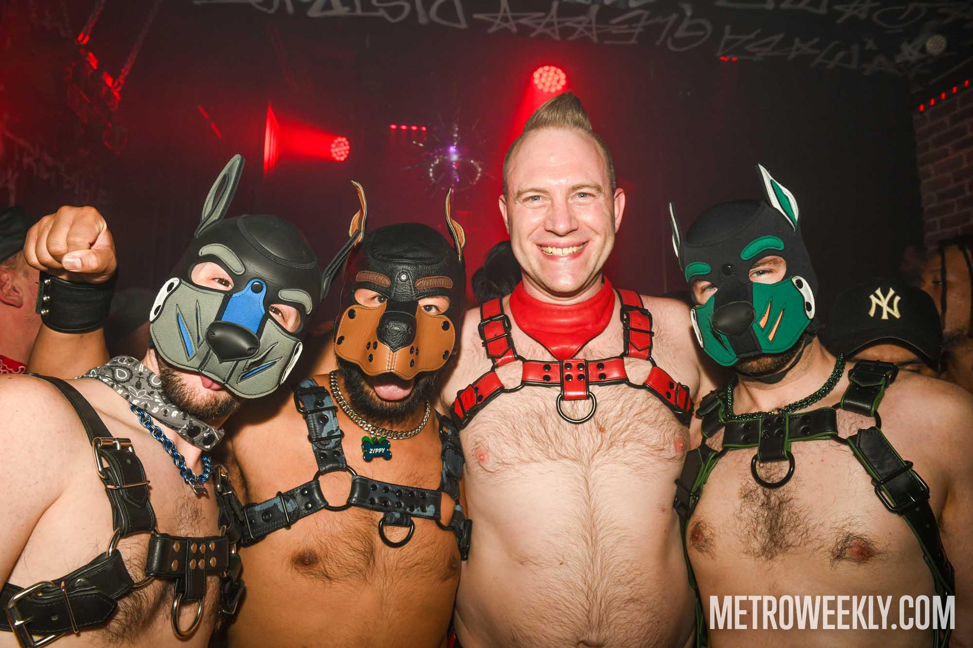 #4 of 81 : 2026-01-21_3025_179099.jpg