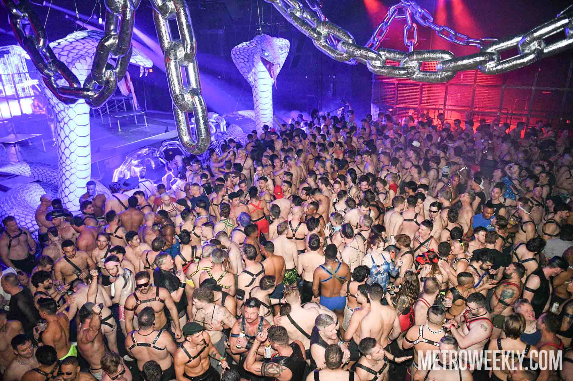 #13 of 40 : 2026-01-23_3026_179189.jpg