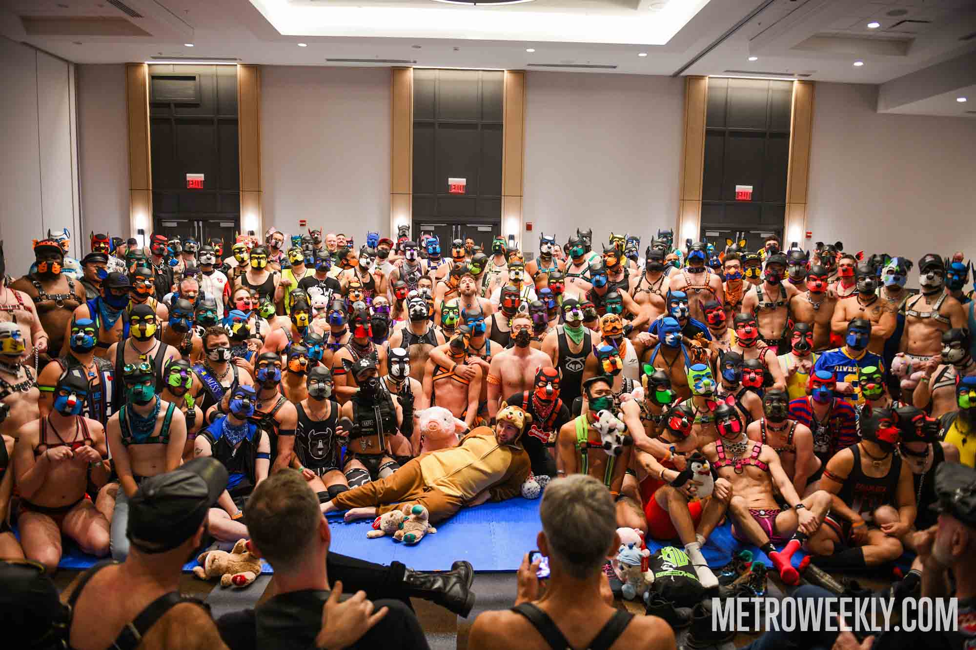 #32 of 168 : 2026-01-23_3027_179248.jpg