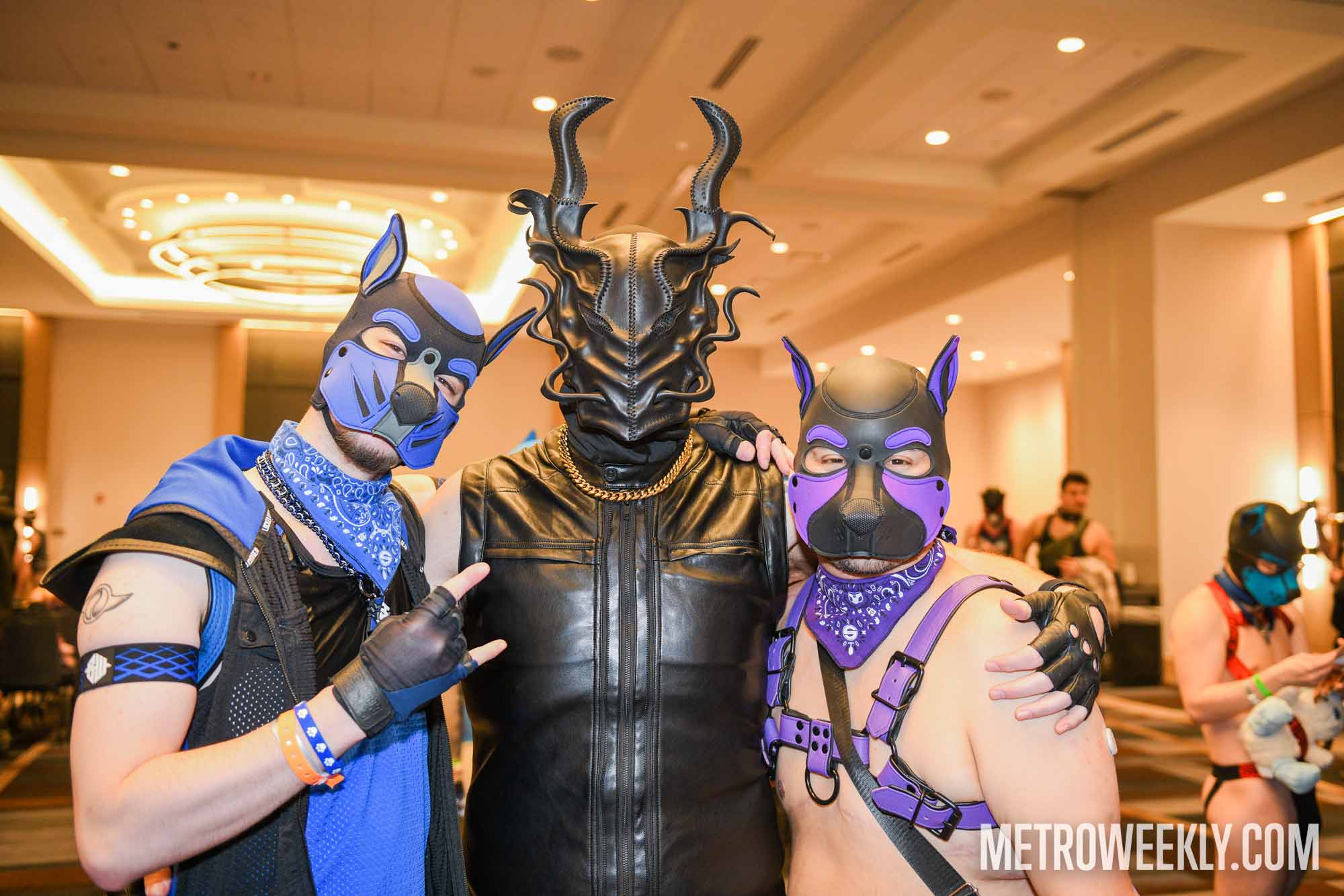 #41 of 168 : 2026-01-23_3027_179257.jpg