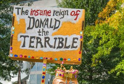 No Kings March, Washington D.C. #7